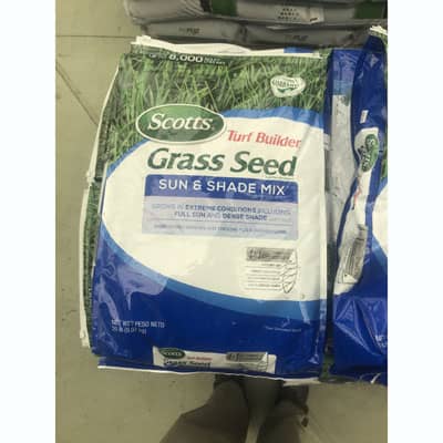 Scotts Turf Builder Grass Seed at The Pocatello Greenhouse